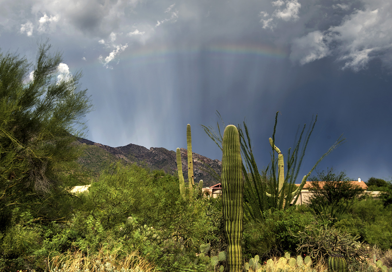 Eliot-Herman-Rainbow-and-anticrepuscular-ray-during-monsoon-sw_1440341269